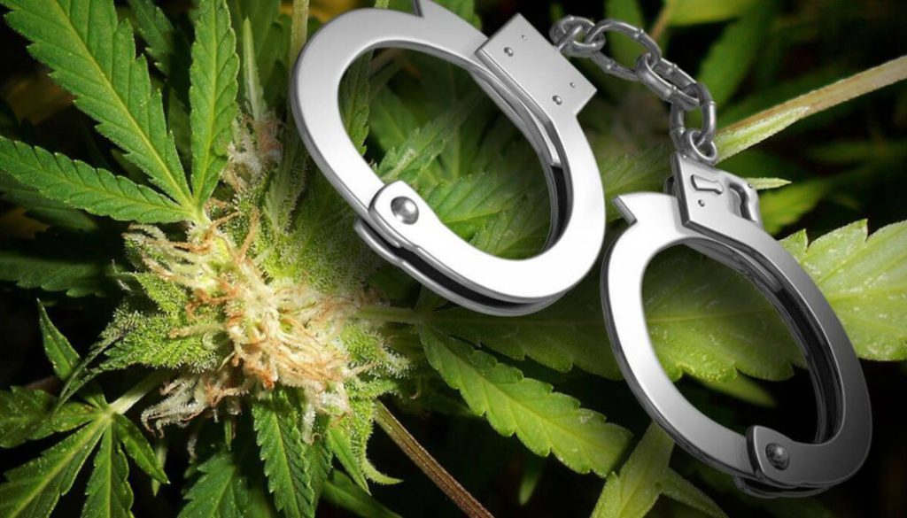 weed arrest
