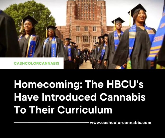 HBCU Cannabis